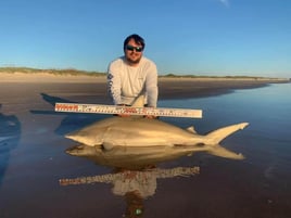 Afternoon Surf Fishing For Sharks