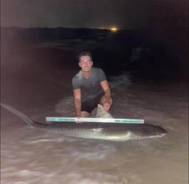 Afternoon Surf Fishing For Sharks