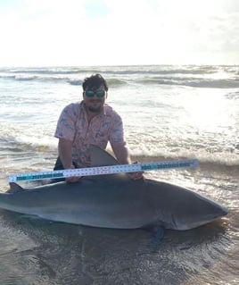 Afternoon Surf Fishing For Sharks