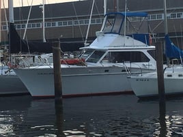 Annapolis Fishing Charters