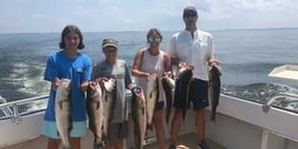 Annapolis Fishing Charters