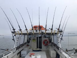 Annapolis Fishing Charters