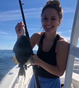 Triggerfish Fishing in Biloxi, Mississippi