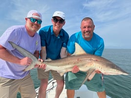 Tampa Bay Inshore Rodeo