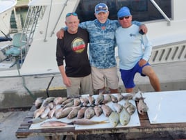 Tampa Bay Inshore Rodeo