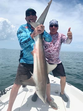 Tampa Bay Inshore Rodeo