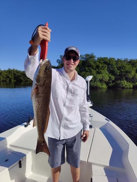 Tampa Bay Inshore Rodeo