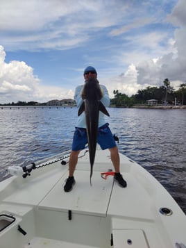 Tampa Bay Inshore Rodeo