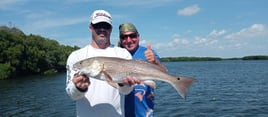 Tampa Bay Inshore Rodeo