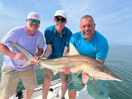 Tampa Bay Inshore Rodeo