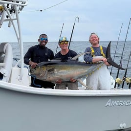 Nearshore Dauphin Island Adventure