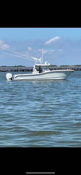 Nearshore Dauphin Island Adventure