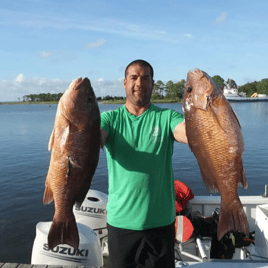 Dauphin Island Reefs and Rocks