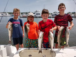 Chatham Inshore Fishing Trip