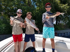 Chatham Inshore Fishing Trip