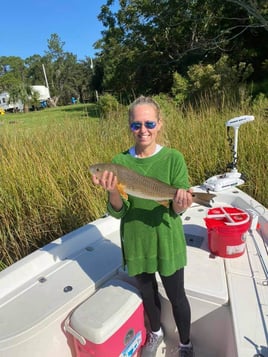 Alabama Coast Inshore Trip