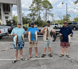 Alabama Coast Inshore Trip