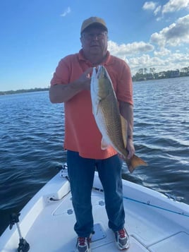 Alabama Coast Inshore Trip