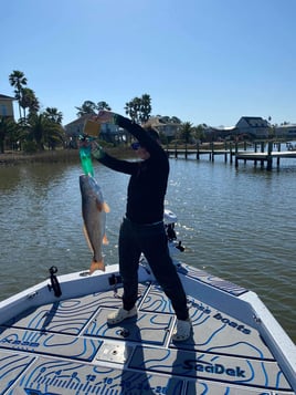 Alabama Coast Inshore Trip