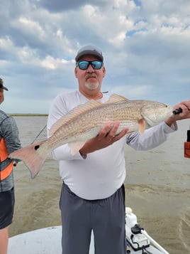 Gator Trout Trip