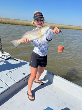 Gator Trout Trip