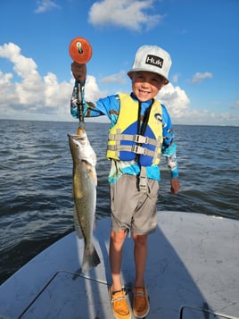 Gator Trout Trip