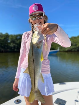 Nighttime Snapper, Snook, Tarpon