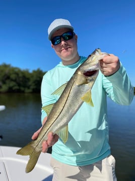 Nighttime Snapper, Snook, Tarpon