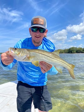 Nighttime Snapper, Snook, Tarpon