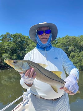 Snook Fishing in Ruskin, Florida