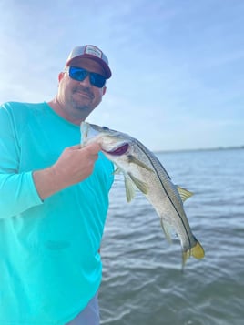 Snook Fishing in Ruskin, Florida