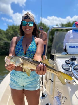 Nighttime Snapper, Snook, Tarpon