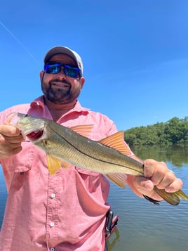 Snook Fishing in Ruskin, Florida