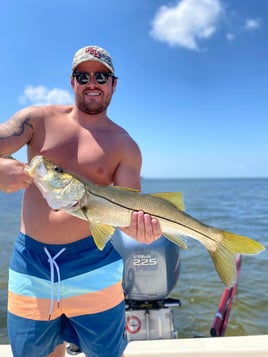 Nighttime Snapper, Snook, Tarpon