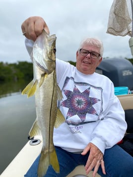 Nighttime Snapper, Snook, Tarpon