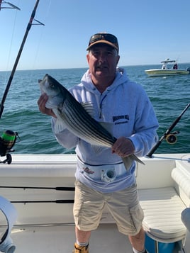 Cape Cod Bay Bass and Bluefish trip