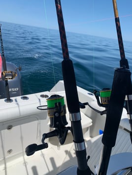 Cape Cod Bay Bass and Bluefish trip