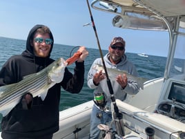 Cape Cod Bay Bass and Bluefish trip