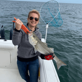 Cape Cod Bay Bass and Bluefish