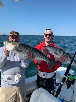 Cape Cod Bay Bass and Bluefish trip