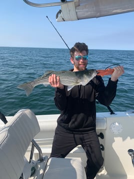 Cape Cod Bay Bass and Bluefish trip