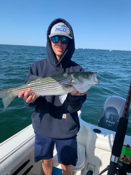 Cape Cod Bay Bass and Bluefish trip