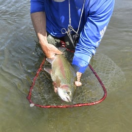 Missoula's Finest Fly Fishing