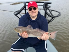 Galveston on the Fly