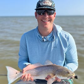 Galveston on the Fly