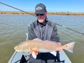 Galveston on the Fly