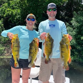 Everglades Bass & Peacock Bass