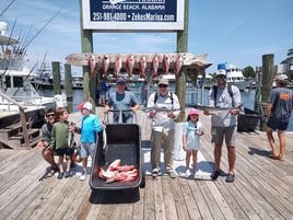 Premier Red Snapper Adventure