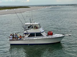 Orange Beach Bottomfishing Bonanza