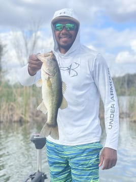 Largemouth Bass Fishing in Cedar Key, Florida